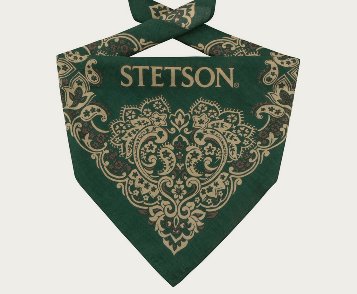 Stetson Paisley Bandana in Darkgreen