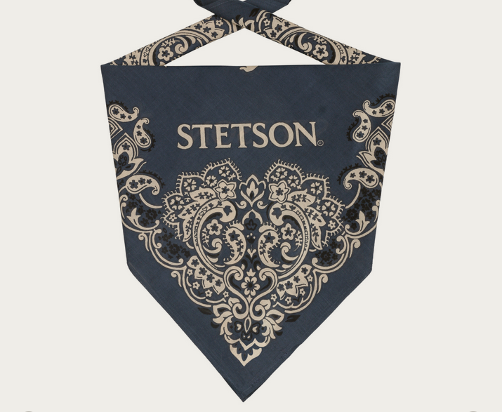 Stetson Paisley Bandana in Blue