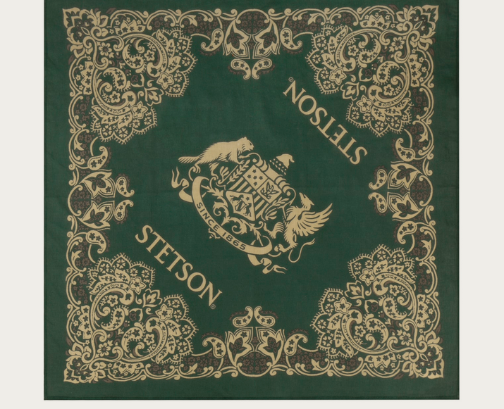 Stetson Paisley Bandana in Darkgreen