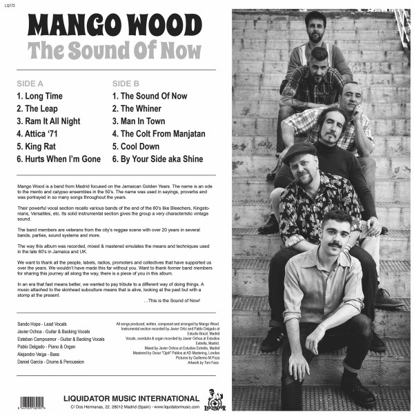 Mango Wood – The Sound Of Now (LP)