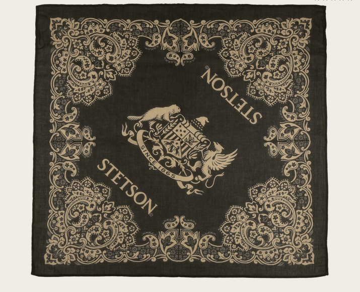 Stetson Paisley Bandana in Black