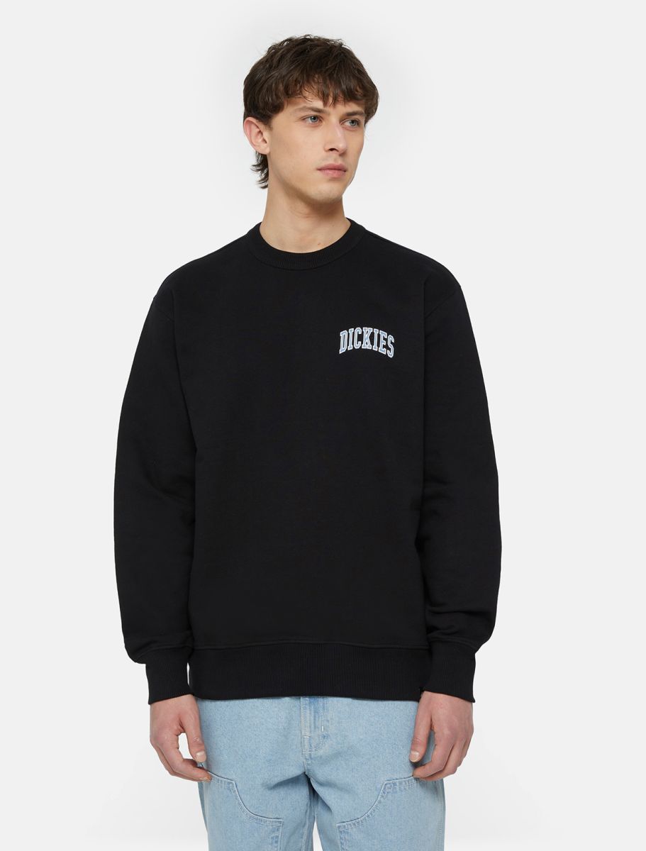 Dickies Aitkin Sweatshirt in Black/coronet Blue