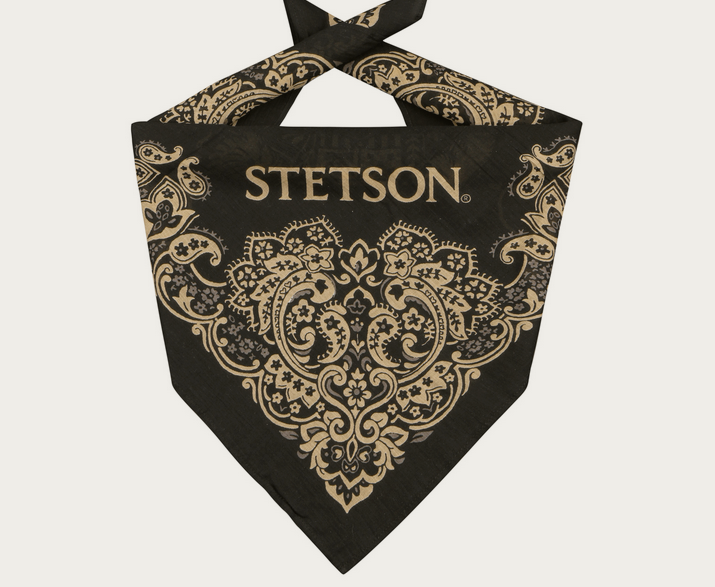 Stetson Paisley Bandana in Black