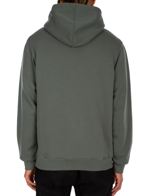 Iriedaily Mini Flag 2 Hoody in Junge Green 